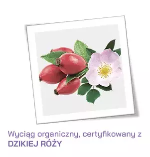 Wyciąg z Dzikiej Róży
