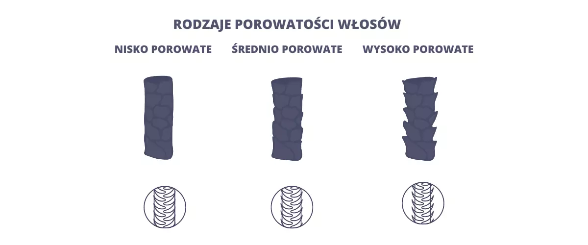 Rodzaje porowatości włosów