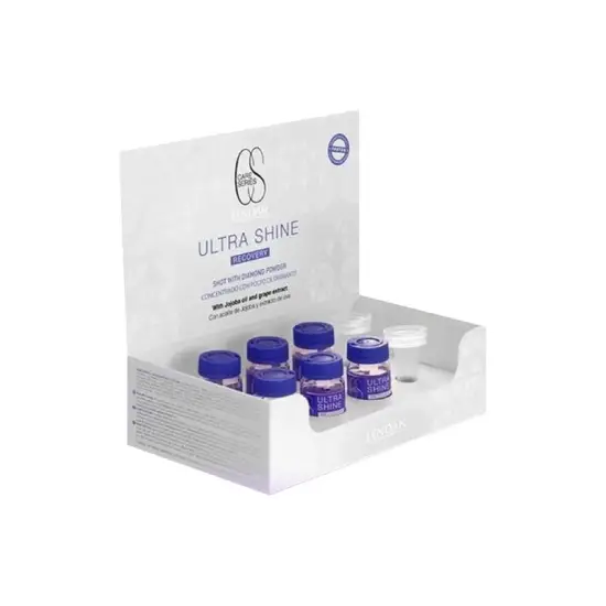 Lendan Recovery Ultra Shine - Ultra naprawczy koncentrat wzmacniający włosy z efektem blasku 6x10ml